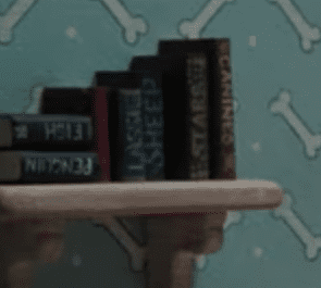 Feathers McGraw bedroom Wallace and Gromit books