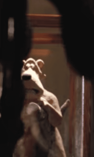 Lion Wallace and Gromit Creature Comforts